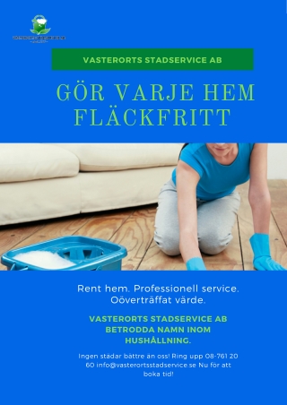GÖR VARJE HEM FLÄCKFRITT