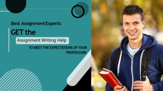 Best Assignment Experts | Online Assignment Writing Helper