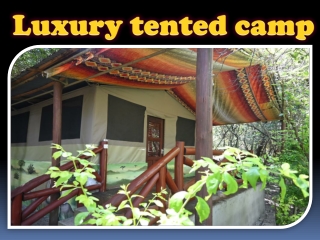 Luxury tented camp