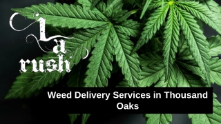 Weed Delivery Services in Thousand Oaks - LA Rush