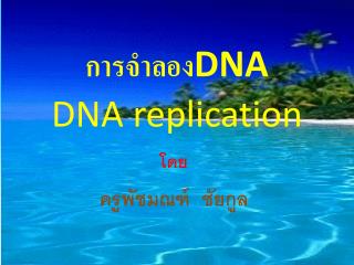 การจำลอง DNA DNA replication