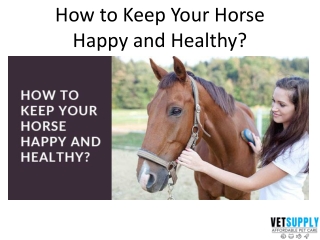 How to keep your horse happy and healthy | Horse Supplies | VetSupply