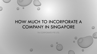 how much to incorporate a company in singapore