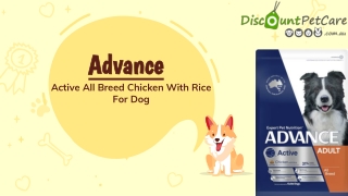 Advance Active All Breed Dry Dog Food Chicken with Rice | DiscountPetCare