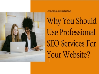 Why You Should Use Professional SEO Services For Your Website?