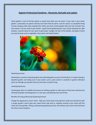 Appoint Professional Gardener - Renovate, Remodel and update