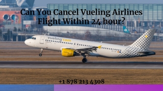 Can You Cancel Vueling Airlines Flight Within 24 hour?