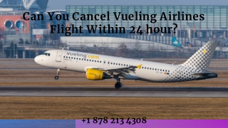 Can You Cancel Vueling Airlines Flight Within 24 hour?