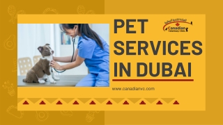 PET SERVICES IN DUBAI