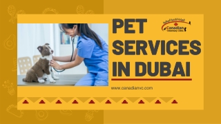 PET SERVICES IN DUBAI