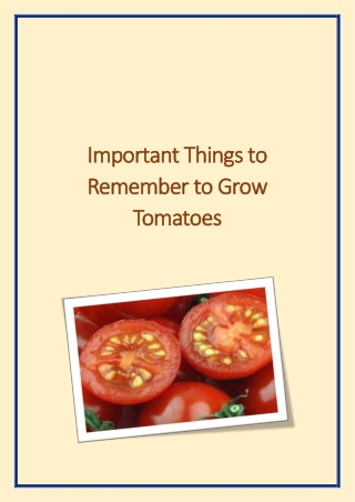 Important Things to Remember to Grow Tomatoes
