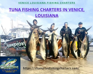 Tuna Fishing Charters in Venice, Louisiana