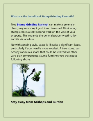 Get Stump Grinding in Rayleigh