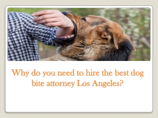Why do you need to hire the best dog bite attorney Los Angeles?