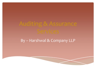 Auditing and Assurance Service Provider in the USA – HCLLP