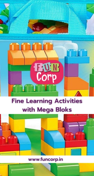 Fine Learning Activities with Mega Bloks