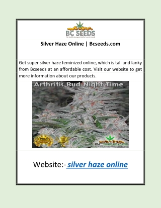 Silver Haze Online | Bcseeds.com