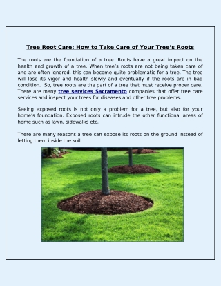 Why Are Tree Roots Care Essential for Overall Tree Growth?
