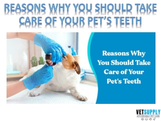 Reasons why you should take care of you pet's teeth | Pet Dental Care |VetSupply