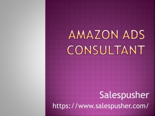 Amazon Ads CONSULTANT