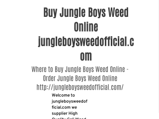 Buy Jungle Boys Weed Online at jungleboysweedofficial.com