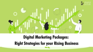 Digital Marketing Packages Right Strategies for your Rising Business