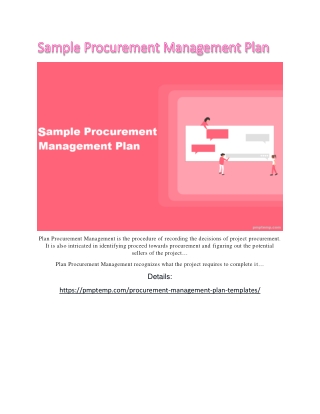 Procurement Management Plan pmp
