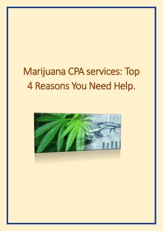 Marijuana CPA services Top 4 Reasons You Need Help.