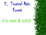 E. Tropical Rain Forest