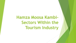 Hamza Moosa Kambi- Sectors Within the Tourism Industry