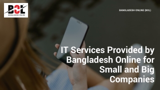 IT Services Provided by Bangladesh Online for Small and Big Companies