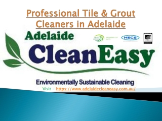 Can You Use Dawn To Clean Upholstery In Adelaide?