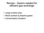Review factors needed for efficient gas exchange