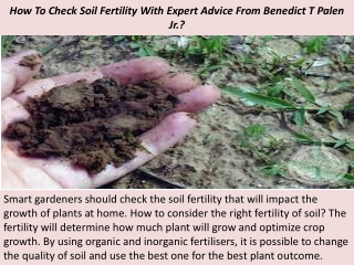 How To Check Soil Fertility With Expert Advice From Benedict T Palen Jr.