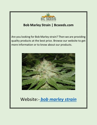 Bob Marley Strain | Bcseeds.com