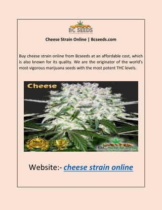 Cheese Strain Online | Bcseeds.com