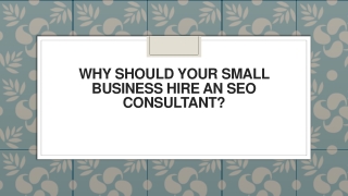 -Why Should Your Small Business Hire an SEO Consultant