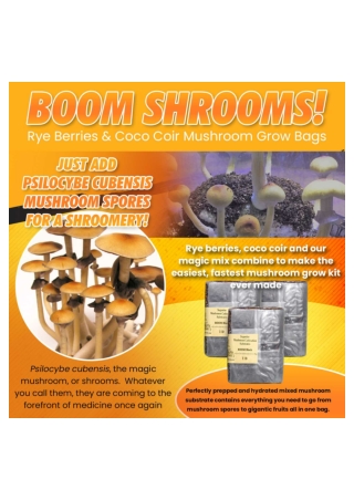 How long do shrooms take to kick in? Do Shrooms go bad?