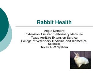 Rabbit Health