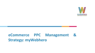 eCommerce PPC Management & Strategy: myWebhero