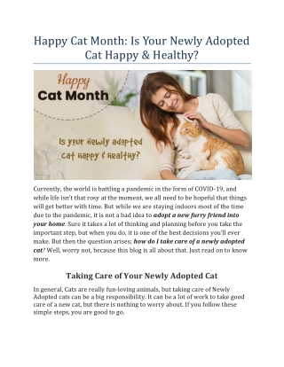 Happy Cat Month: Is Your Newly Adopted Cat Happy & Healthy?
