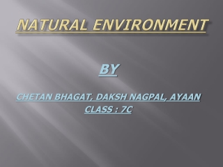 Natural Environment