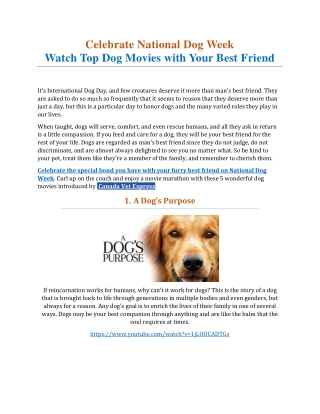 Celebrate National Dog Week -Watch Top Dog movies with your best friend