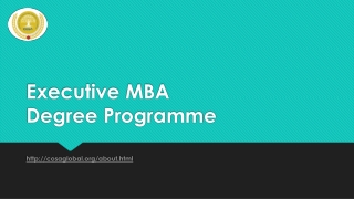 Executive MBA Degree Programme