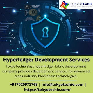 Hyperledger Development Services
