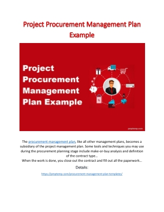 Project Procurement Management Plan Example