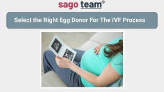 Egg Donation For The IVF Process | SavoIVF in Cyprus