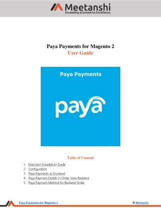 Magento 2 Paya Payments