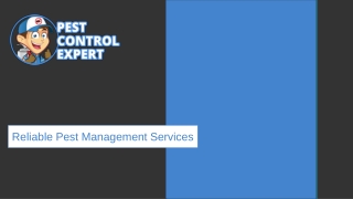 Reliable Pest Management Services - Pest Control Expert