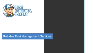 Affordable Pest Control Services - Pest Control Expert